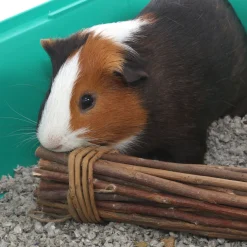 Ware Pet Mega Munch Sticks