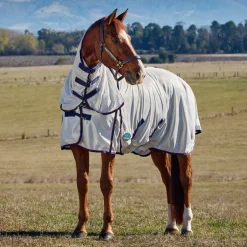 WeatherBeeta ComFiTec Airflow Fly Sheet Combo