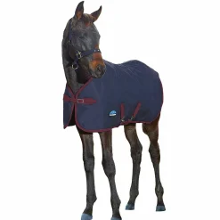 WeatherBeeta 1200D Foal Turnout 220g | Navy