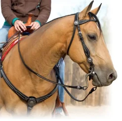 Weaver Back in Black Brow Headstall
