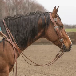 Weaver Contoured JW Floral One Ear Headstall