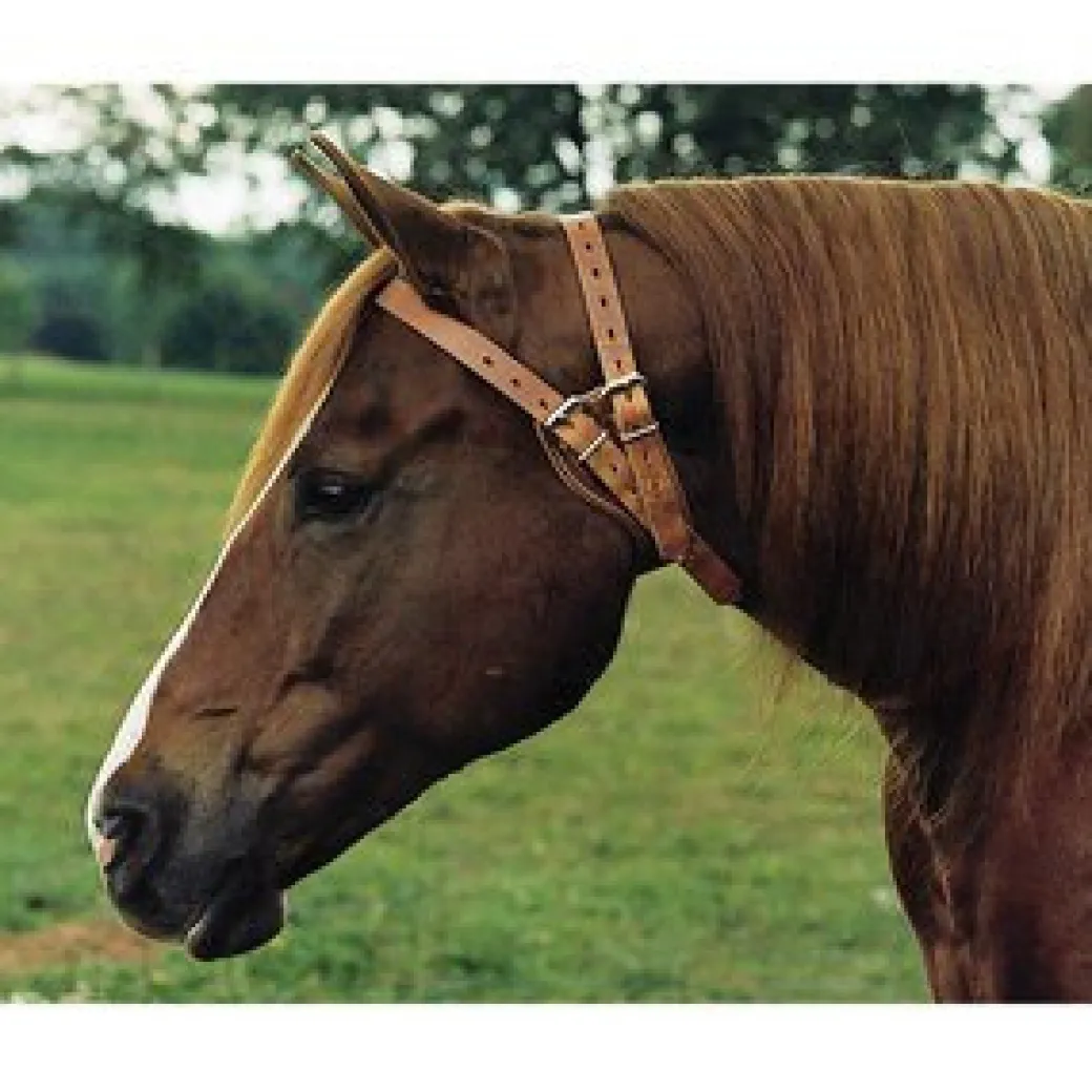 Weaver Leather Miracle Collar