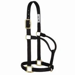Weaver Original Non-Adjustable 1" Halter