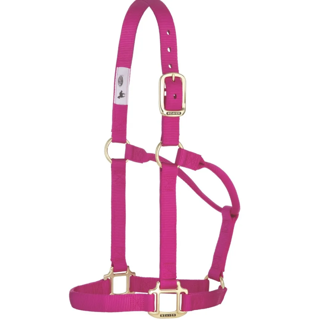 Weaver Original Non-Adjustable 1" Halter