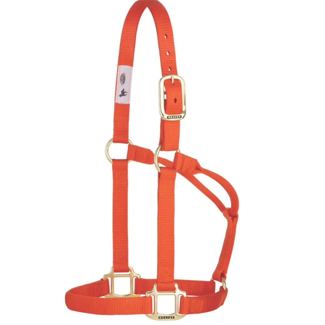 Weaver Original Non-Adjustable 1" Halter
