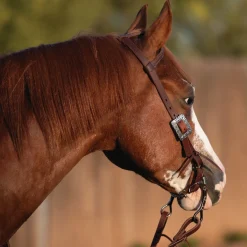 Weaver Southwest Square One Ear Headstall
