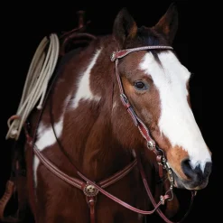 Weaver Texas Gold Star Brow Headstall