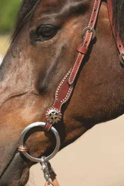 Weaver Texas Gold Star Brow Headstall