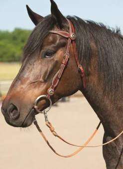 Weaver Texas Gold Star Brow Headstall
