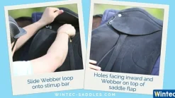 Wintec Webbers